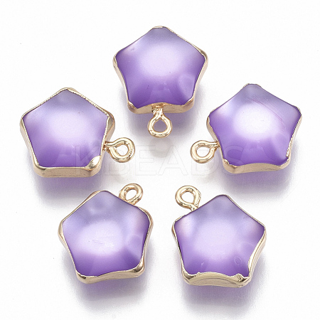Resin Pendants RESI-S383-031D-1