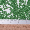 MIYUKI Delica Beads SEED-J020-DB0724-4