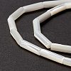 Natural Trochid Shell/Trochus Shell Beads X-SSHEL-O001-26B-3