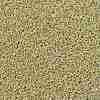 TOHO Round Seed Beads SEED-JPTR15-PF0559-2