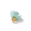 6Pcs Resin Imitation Pearl Charms PALLOY-JF03422-5