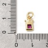 Brass Cubic Zirconia Charms KK-G554-01B-04-3