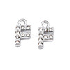 304 Stainless Steel Charms STAS-N095-137F-1