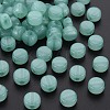 Transparent Acrylic Beads MACR-S373-05E-02-2