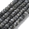 Faceted Natural Labradorite Rondelle Beads Strands X-G-K090-02-1