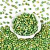 Glass Seed Beads SEED-T009-02K-1