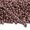 TOHO 6/0 Round Beads SEED-TR06-1203-2