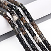 Natural Biotite Beads Strands G-T140-92-1