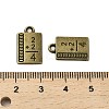 Tibetan Style Alloy Pendants FIND-C043-012AB-3