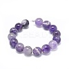 Natural Amethyst Beads Strands G-G791-11-B04-2