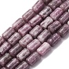 Natural Lepidolite Beads Strands G-F808-B01-01-2