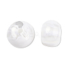 Resin Beads RESI-N034-04-K06-4