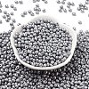 6/0 Glass Seed Beads SEED-L011-08A-11-2