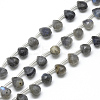 Natural Labradorite Beads Strands G-R435-15G-1