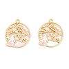 Rack Plating Alloy Enamel Pendants FIND-A040-05A-03G-1