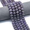 Natural Lepidolite/Purple Mica Stone Beads Strands G-P573-B05-01-1