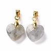 Natural Labradorite Pendants G-C023-07K-2