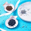 12/0 Grade A Electroplated Glass Seed Beads SEED-CD0001-01-11