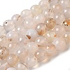 Dyed & Heated Natural Agate Beads Strands G-P539-D01-01-1