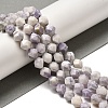 Natural Purple Turquoise Beads Strands G-K382-A09-02-2