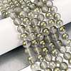 Frosted Transparent Glass Bead Strands GLAA-P065-10mm-12-1