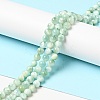 Natural Glass Beads Strands G-I247-32A-2