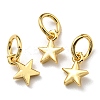 Brass Charms KK-K341-15G-1