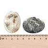 Natural Black Lip Shell Cabochons SSHEL-I026-04B-05-3