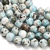 Natural Larimar Beads Strands G-L642-B19-12mm-4