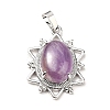 Natural Amethyst Pendants G-B033-03P-24-2