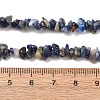 Natural Sodalite Chips Beads Strands X-F024-7