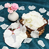 100G Satin Artificial Rose Petals DIY-SP0005-68E-5