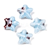 Handmade Porcelain Beads PORC-N008-03B-1