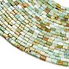 Natural Serpentine Beads Strands GG-CBA2498-B02-01-3