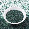 MIYUKI Round Rocailles Beads X-SEED-G007-RR0289-3