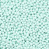 6/0 Glass Seed Beads X1-SEED-L011-08A-14-3