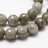 Natural Labradorite Beads Strands G-G736-04-8mm-3
