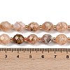 Natural Cherry Blossom Agate Beads Strands G-N342-149I-18-5