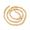 Natural Golden Yellow Shell Beads Strands SSHEL-G029-01B-2