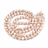 Electroplate Opaque Glass Beads Strands EGLA-T019-05V-2