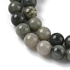 Natural Green Line Jasper Beads Strands G-G735-55-8mm-4
