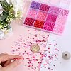 156g 12 Style Glass Seed Beads SEED-SC0001-32B-06-3