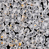 Gradient Color Transparent Frosted Acrylic Beads X1-OACR-M023-06J-3
