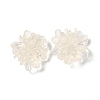 Transparent Resin Cabochons LS-X-RESI-G027-01A-1