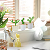 3Pcs 3 Styles Lampwork Cactus Display Decoration DJEW-DC0001-16B-5