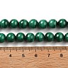 Natural Malachite Beads Strands G-A271-A01-8mm-5