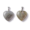 Natural Labradorite Pendants G-G956-B24-FF-1
