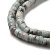 Natural Larimar Beads Strands G-Q024-B03-01-4