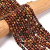Natural Picasso Stone/Polychrome Jasper Beads Strands G-A260-A24-01-1