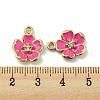 Alloy Enamel Pendants ENAM-D063-01G-05-3